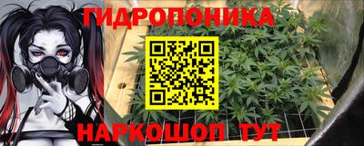 твердый Можга
