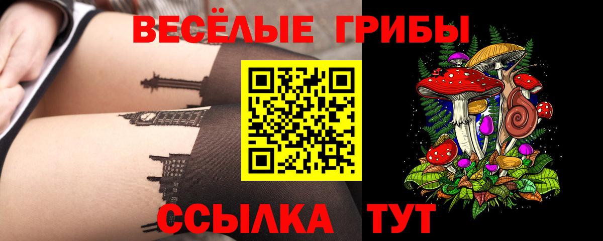 купить  сайты  Вход с VPN  Чусовой  Псилоцибиновые грибы Psilocybine cubensis 